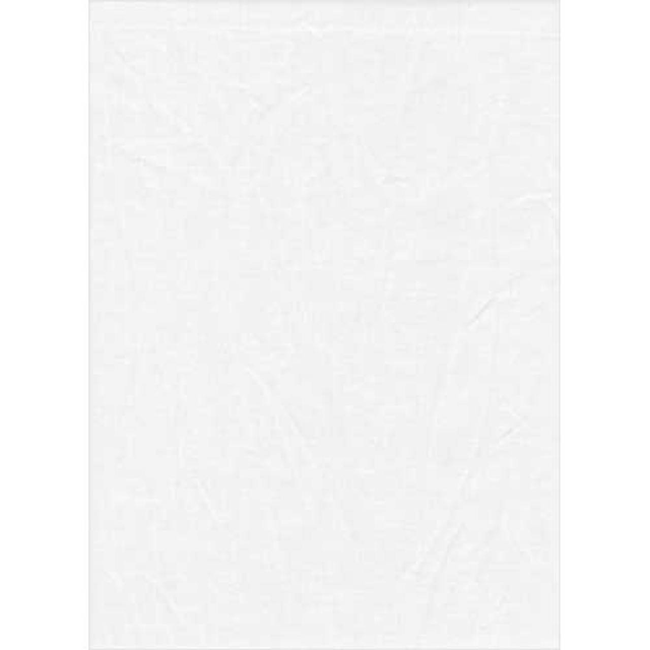 Promaster 1898 10'x20' White Poly Cotton Backdrop