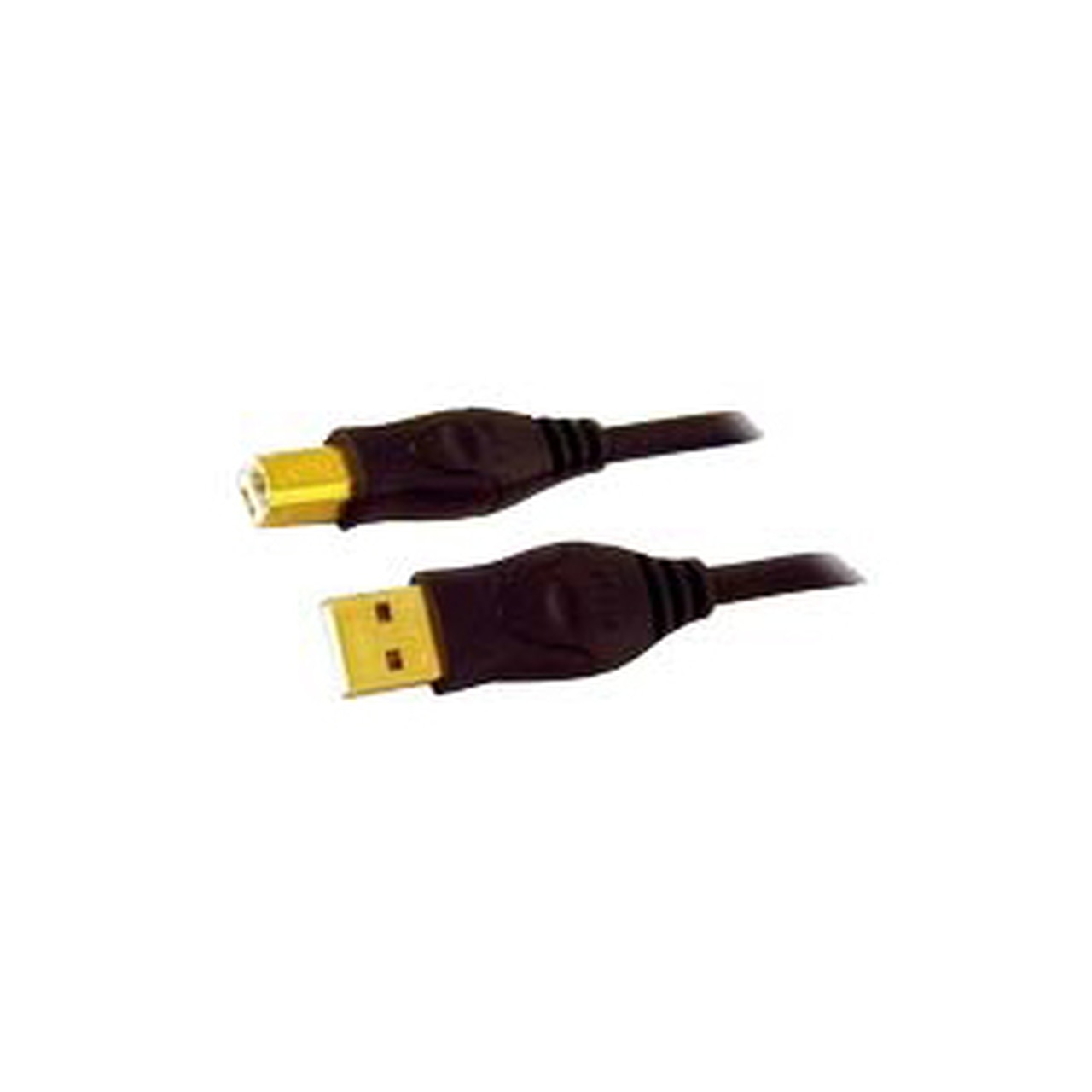 Promaster 3724 Datafast USB 6' Type A - Type B