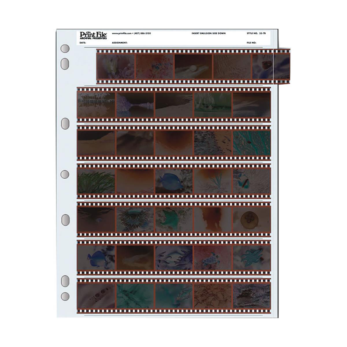 500 Sheet Bulk Pack Print File 810-2P 8x10 Print Sleeves 