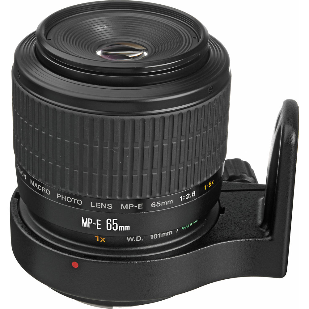 Canon 65mm MP-E F2.8 1-5x MF Lens
