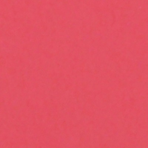 Savage 53" x 36' #92 Flamingo Seamless Background Paper