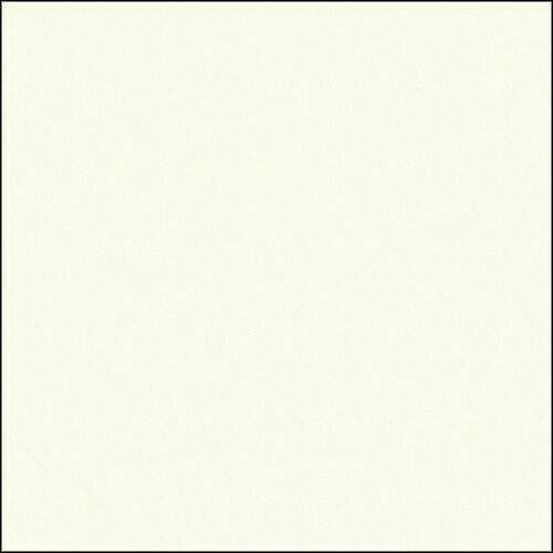Savage 107" x 36' #50 White Seamless Background Paper