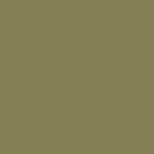 Savage 107" x 36' #34 Olive Green Seamless Background Paper