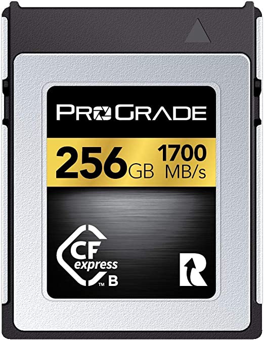 Pro Grade Digital 256GB CFexpress 2.0 Type B Gold Memory Card