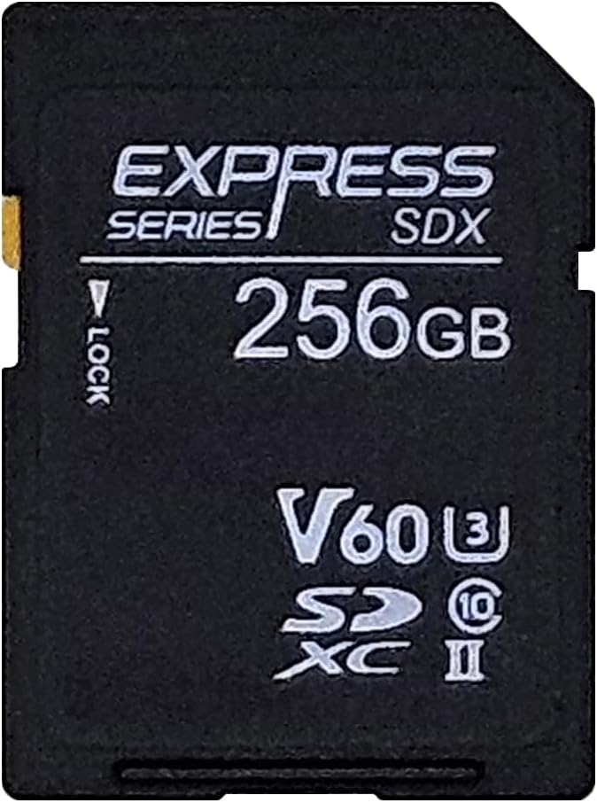 NovaChips 256GB Express Series SDXC  Memory Card