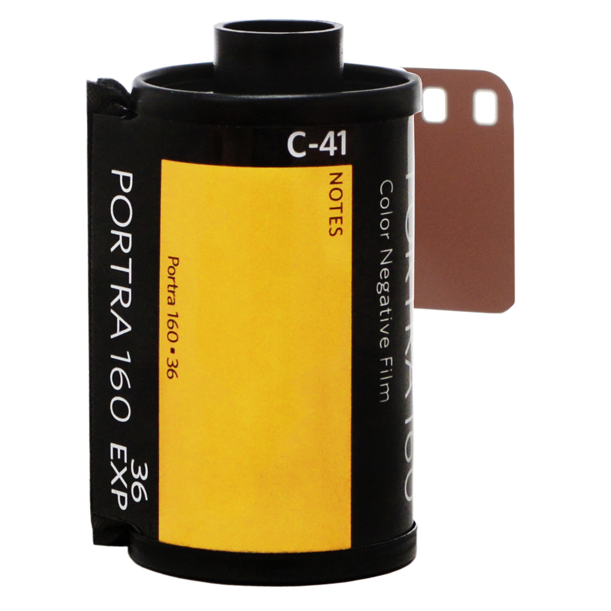 Kodak Portra 160-36 Professional Color Negative Film (35mm Roll Film, 36 Exposures, Single Roll)